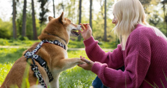 Behawiorystyka zwierząt towarzyszących