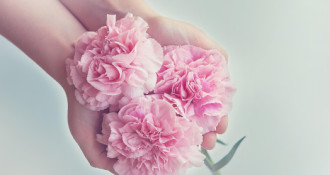 Florystyka